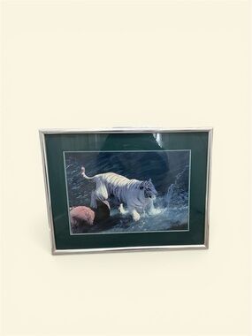 Framed photograph "White Tiger" Realism Landscape in Silver Frame